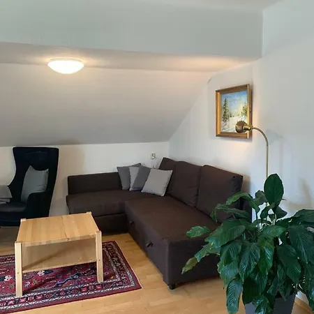Haus Anna Apartment Ramsau am Dachstein Exterior photo