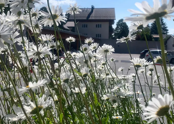 Haus Anna