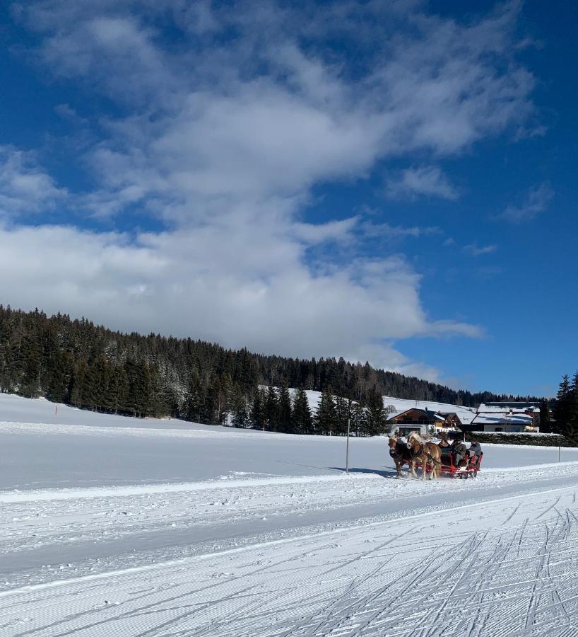 Haus Anna Apartment Ramsau am Dachstein
